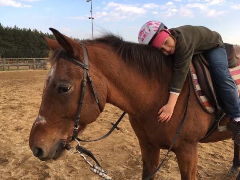 S pracovištěm Lata můžete pečovat o koně nebo si vyzkoušet základy jezdectví