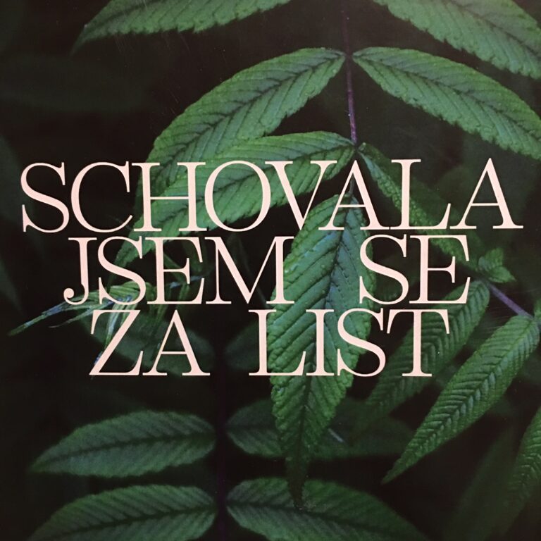 Schovala jsem se za list. Projekt, který bere dech a chytá za srdce