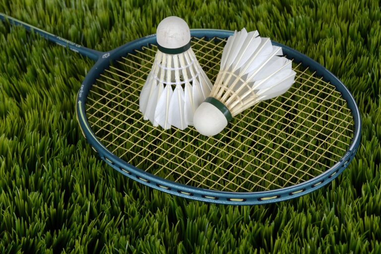 Video: Přijměte badmintonovou výzvu z Lišky