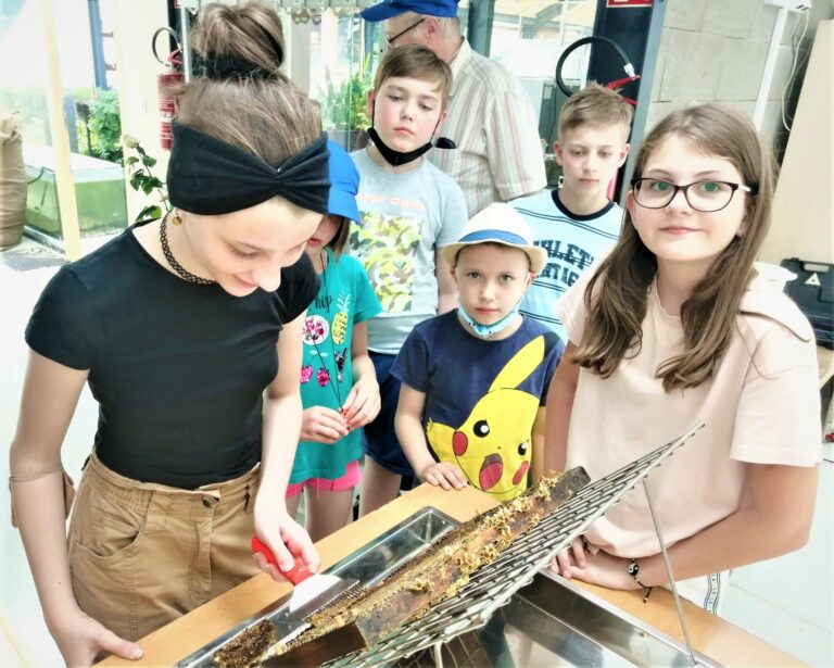 Království kroužků je plné novinek