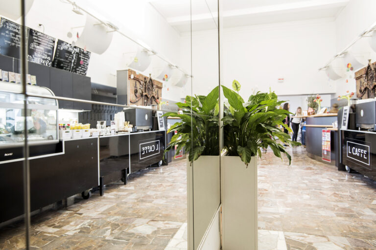 Léto, skvělá káva, domácí limonády a L Caffe